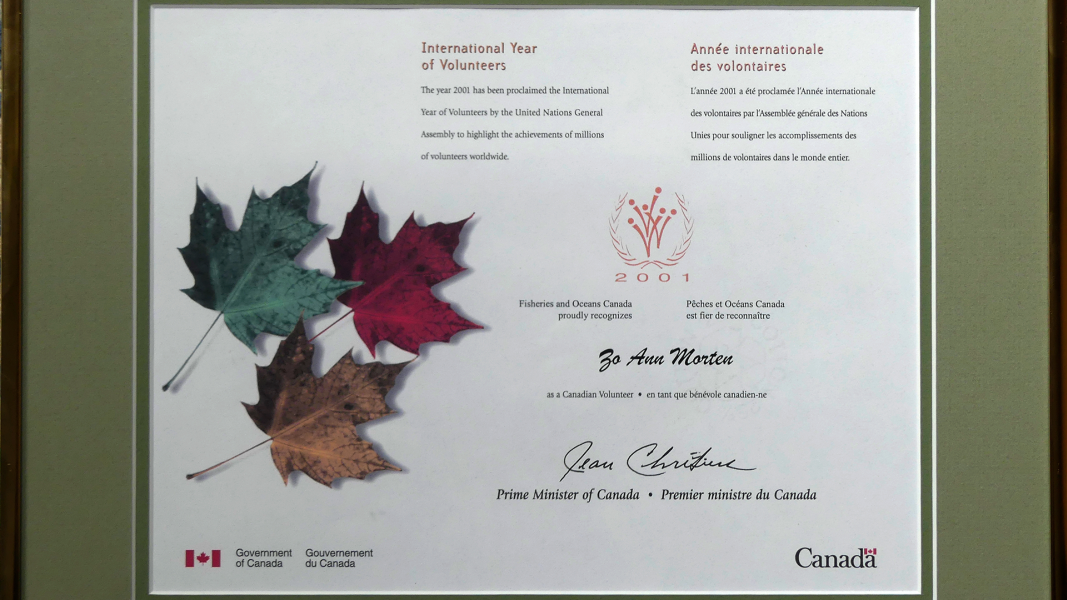 Zo Ann Morten's Awards