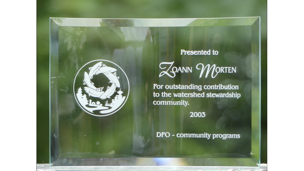 Zo Ann Morten's Awards