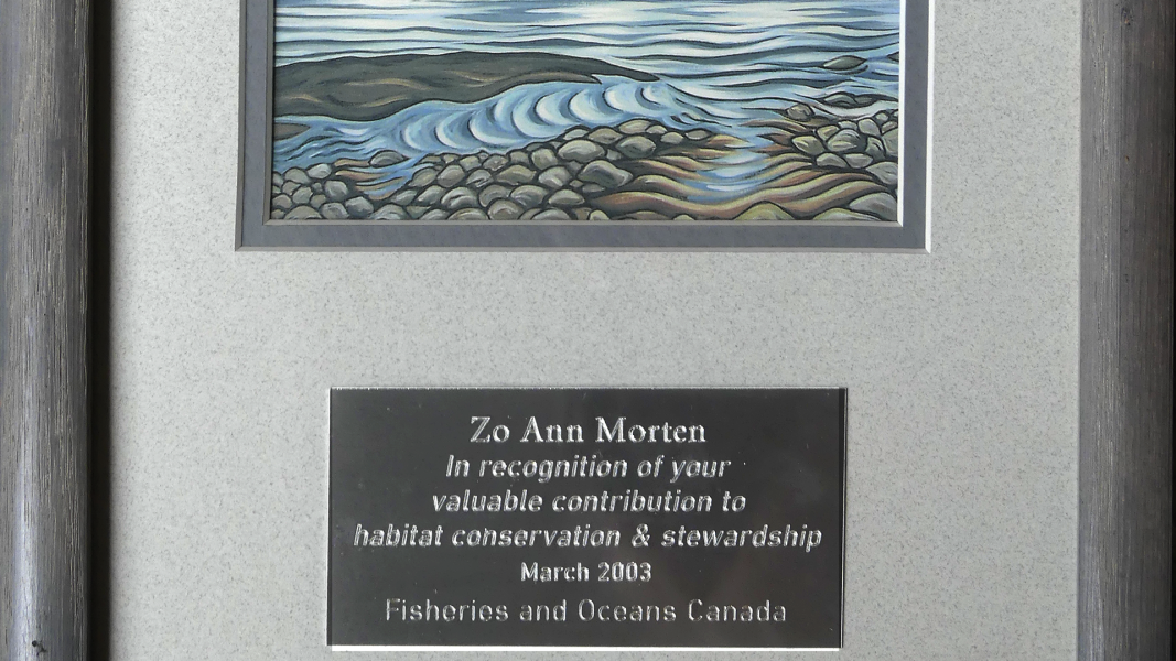 Zo Ann Morten's Awards