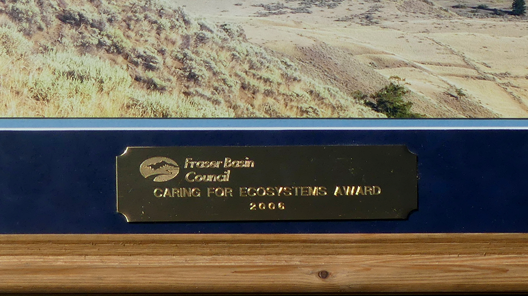 Zo Ann Morten's Awards