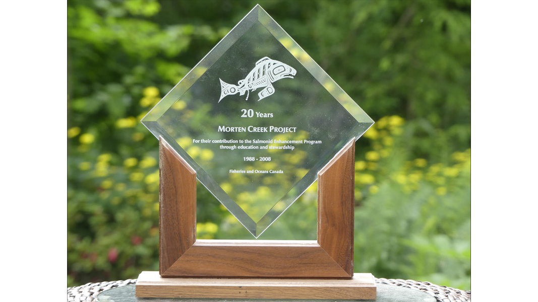 Zo Ann Morten's Awards