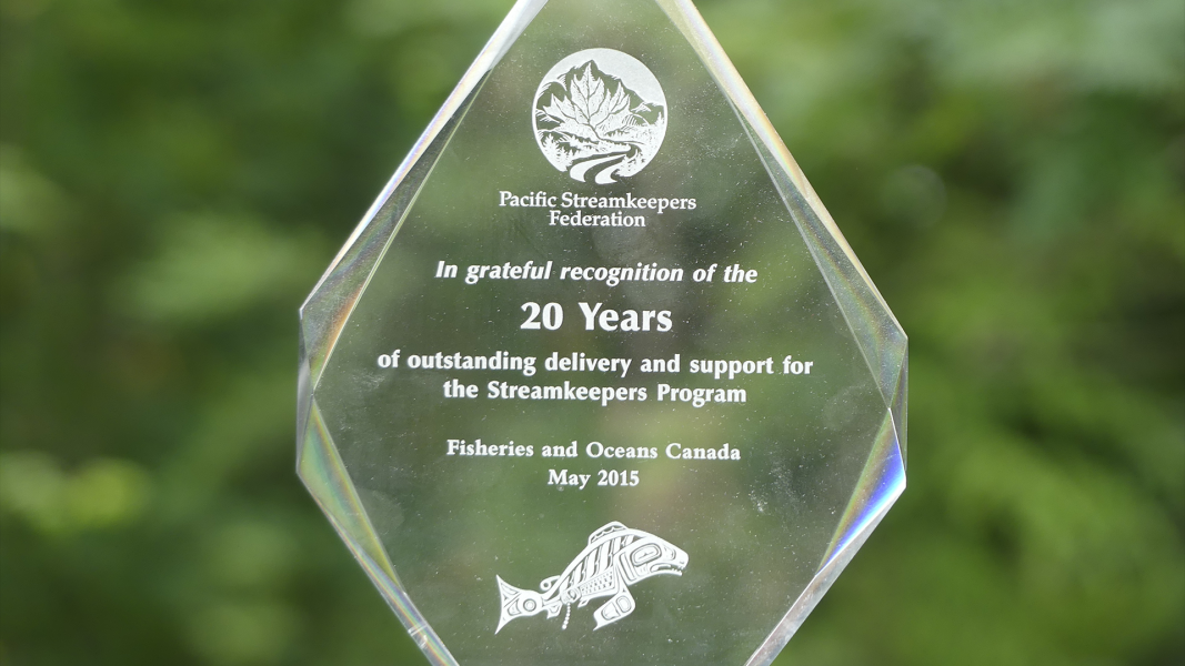 Zo Ann Morten's Awards