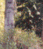 Riparian Vegetation