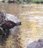 Stream Bed