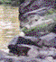 Stream Bank